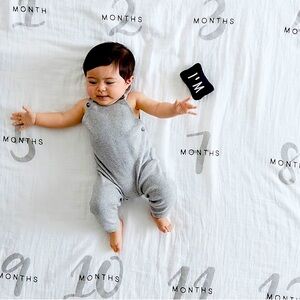 Milestone Baby Blanket + Mini Pollow NWT - Pottery Barn Kids